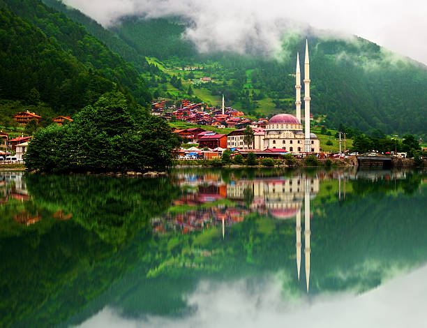 Karadeniz Turlarımız