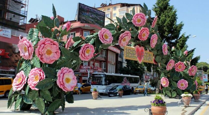 Isparta Gül Hasadı ve Nilüfer Çiçeği