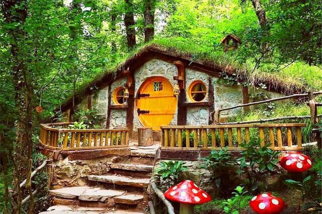 Yedigöller - Abant Gölü - Hobbit Evleri - Maşukiye - İznik ( 1 gece konaklamalı ) 